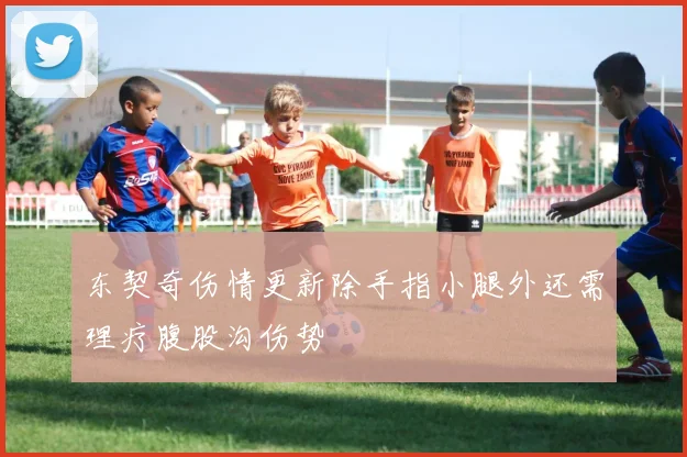 东契奇伤情更新除手指小腿外还需理疗腹股沟伤势